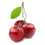 Exportacion de cerezas desde Chile