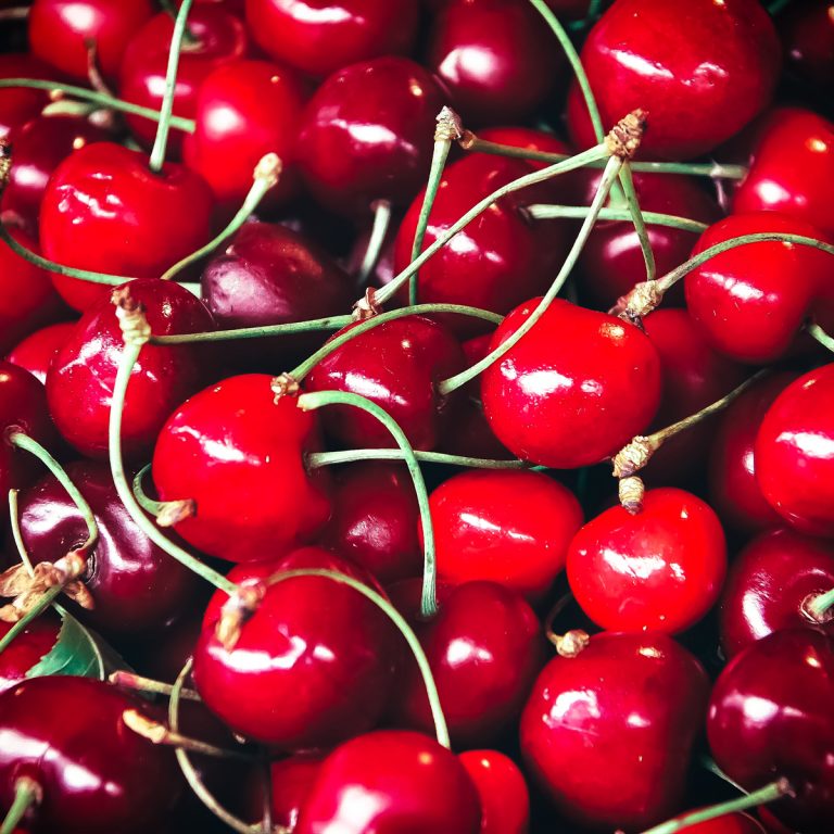 Exportadora de cerezas, Chile