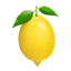 Exportacion de limones desde Chile