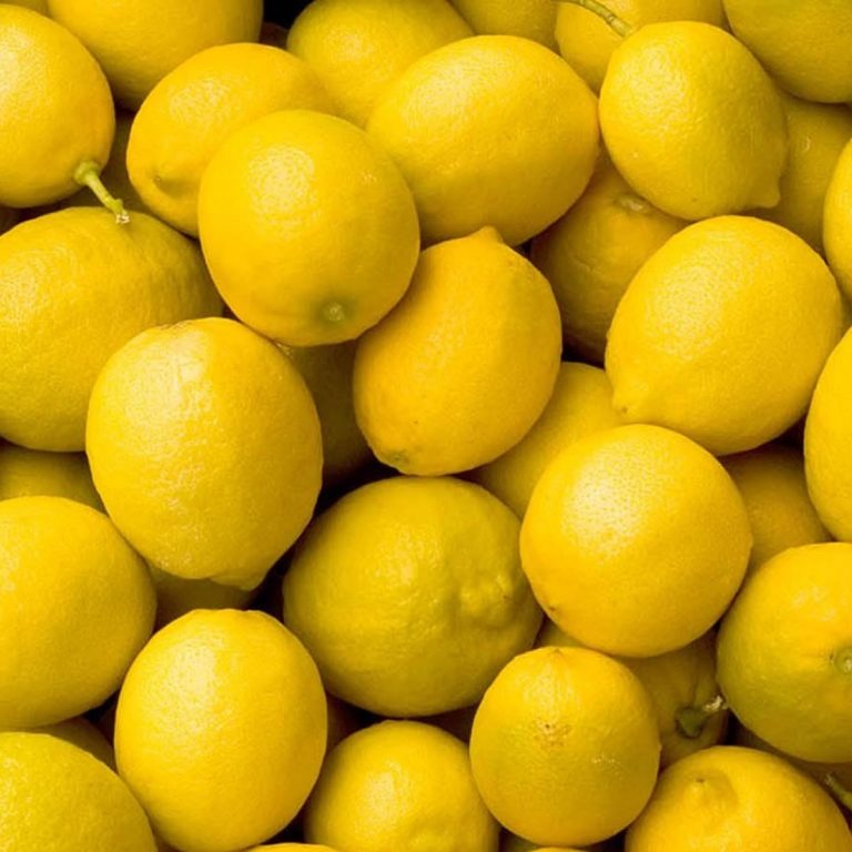 Exportadora de limones, Chile