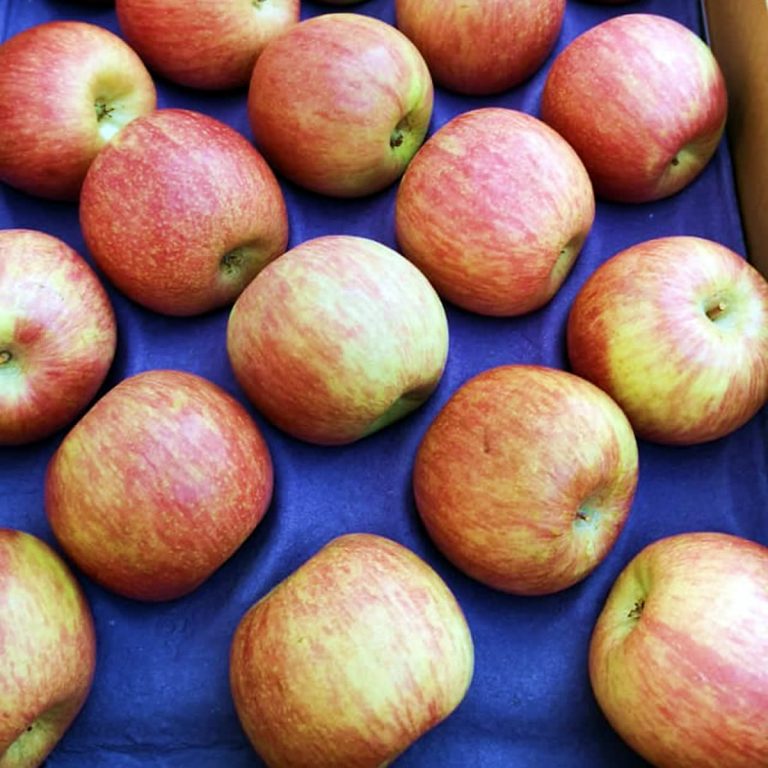 Exportacion de manzana fuji desde Chile