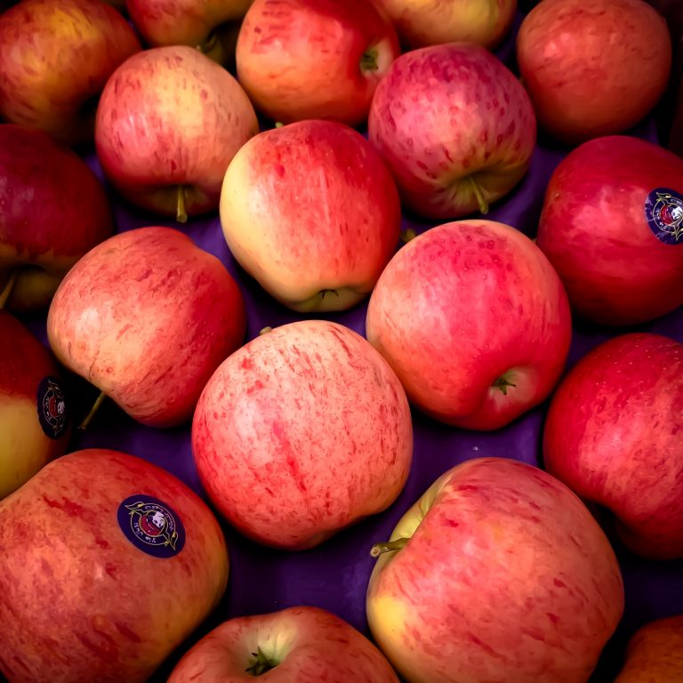 Exportadora de manzana royal gala, Chile