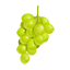 Exportacion de uvas desde Chile